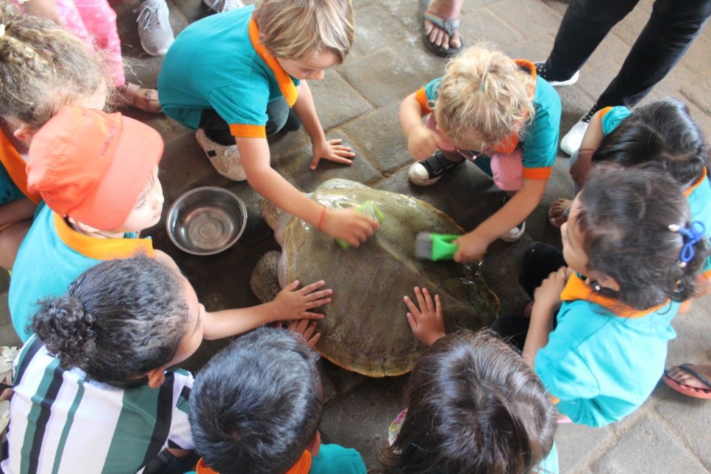 kids touch the turtle at Turtle Conservation